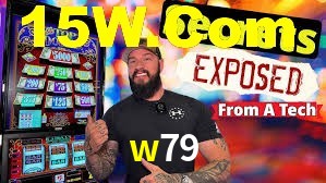 Programa VIP w79