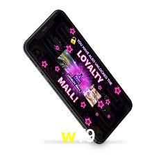 Programa VIP w79